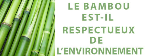 Le bambou est-il respectueux de l'environnement ?