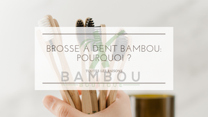 Brosse À Dent Bambou: Pourquoi ?