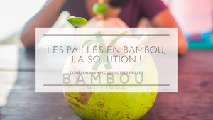 Les Pailles en Bambou, la solution !