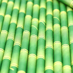 Paille Bambou<br> Vert - Bambou Boutique